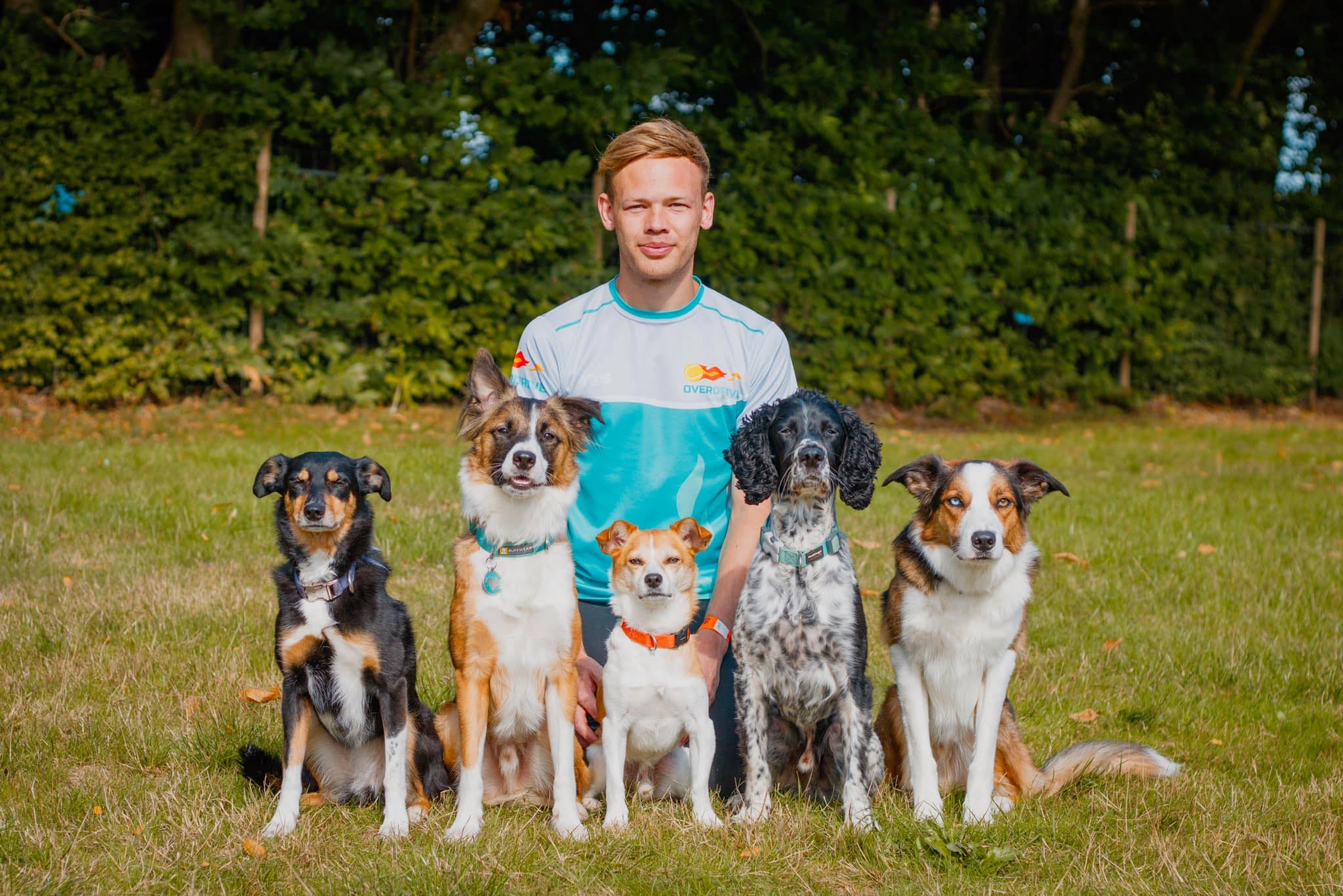 Canine Conditioning: What is that and why is it important?