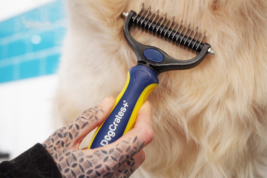 Why Your Dog Needs a Grooming Routine: Tips for Keeping Your Pup Looking and Feeling Great