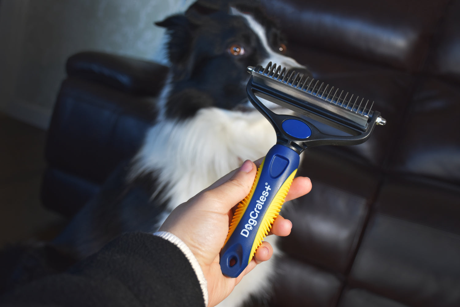 Do all dogs need grooming?