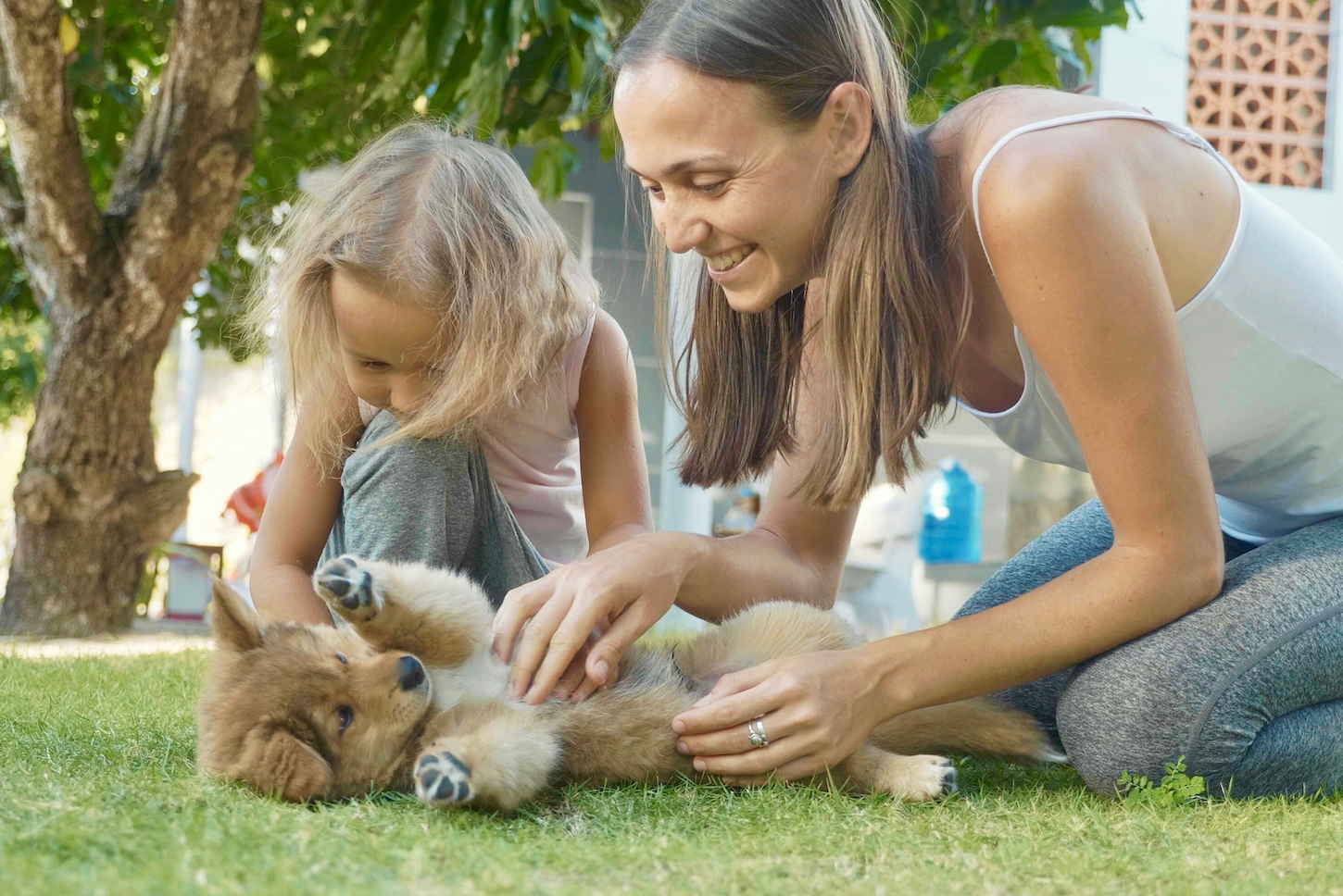A Comprehensive Guide to Getting a Puppy: What to Consider and Purchase