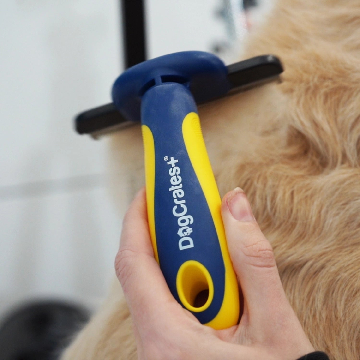 Dog Deshedding Tool – Stainless Steel & Removable Blade