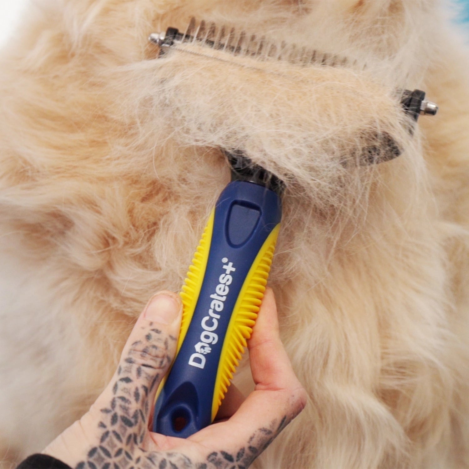 Professional Dual Dog Brush Bundle for Grooming, Deshedding, Dematting