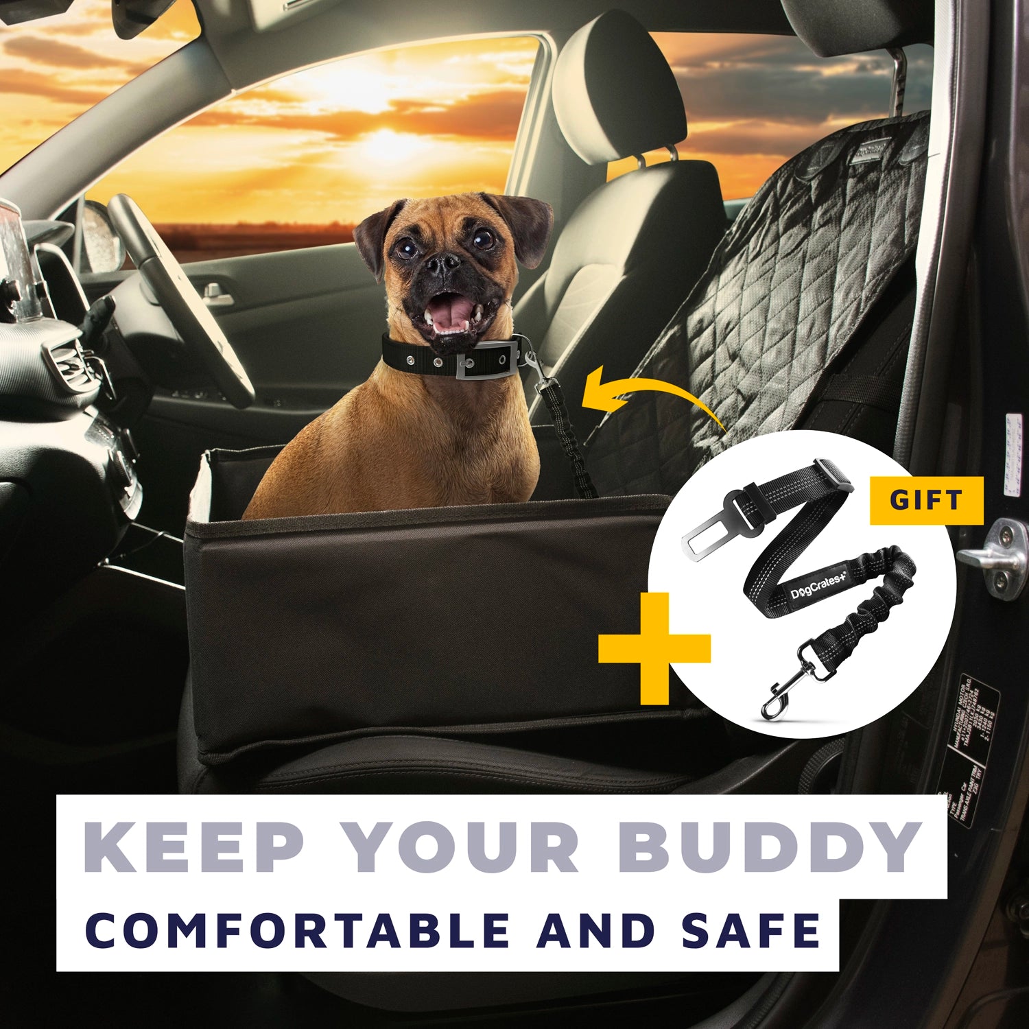 Dog Car Front Seat Cover and Car Seat Belt Bundle