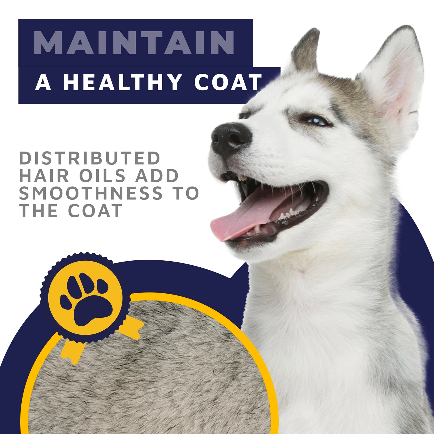 Professional Dog Stainless Steel Undercoat Rake for Deshedding, Dematting, Untangling