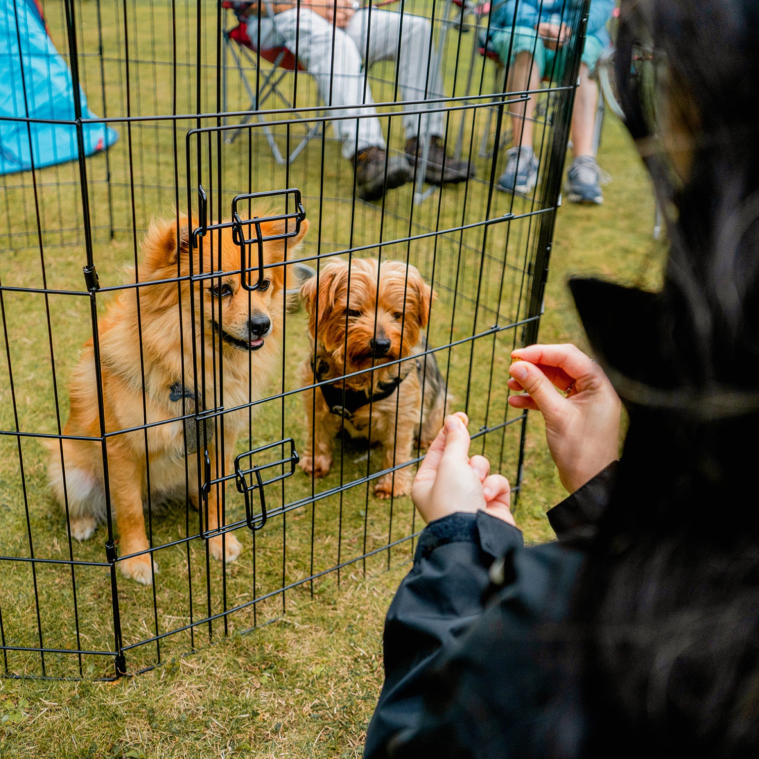 8 Panel Dog Playpen with Door – Portable, Foldable & Outdoor-Ready