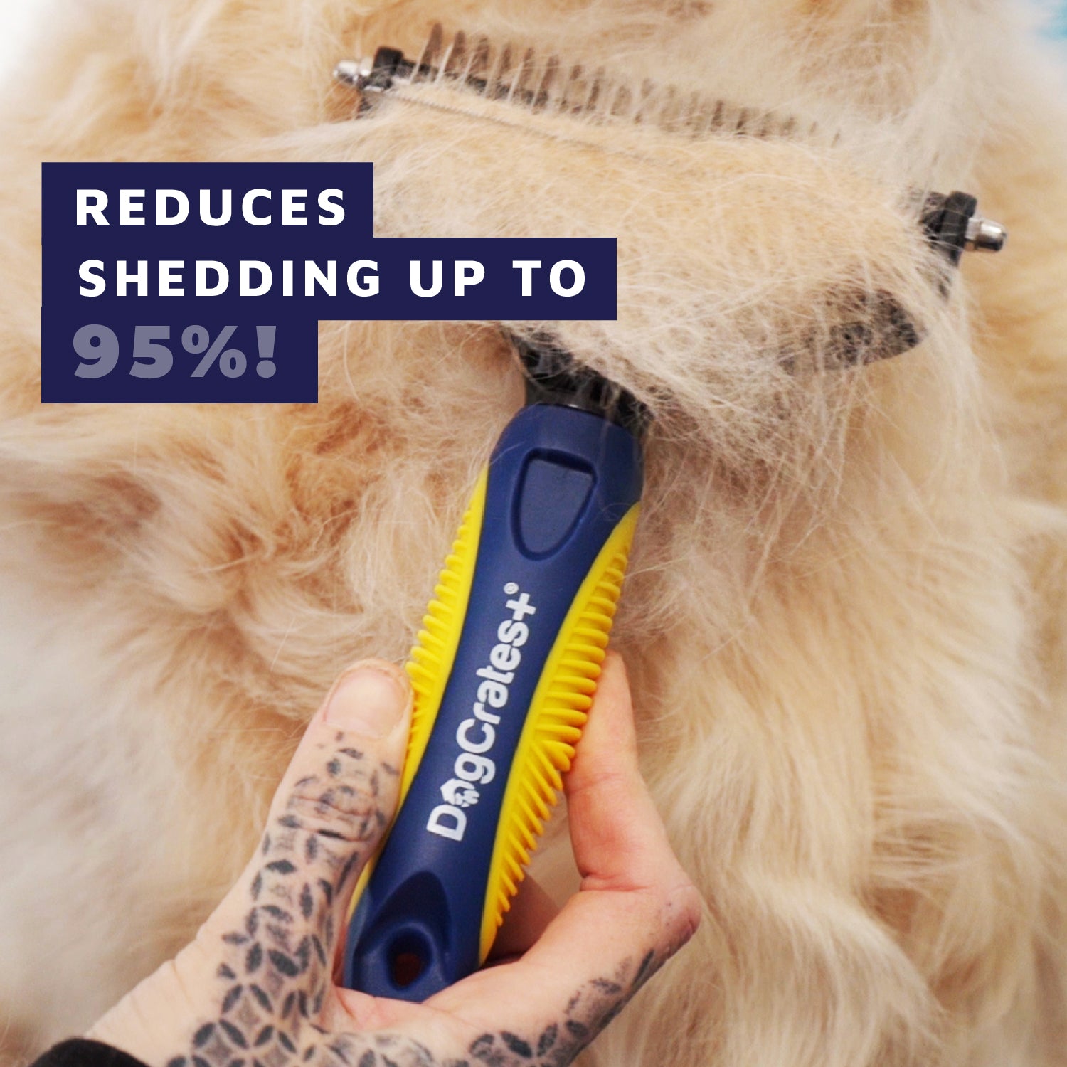 The Ultimate Dog Care Bundle