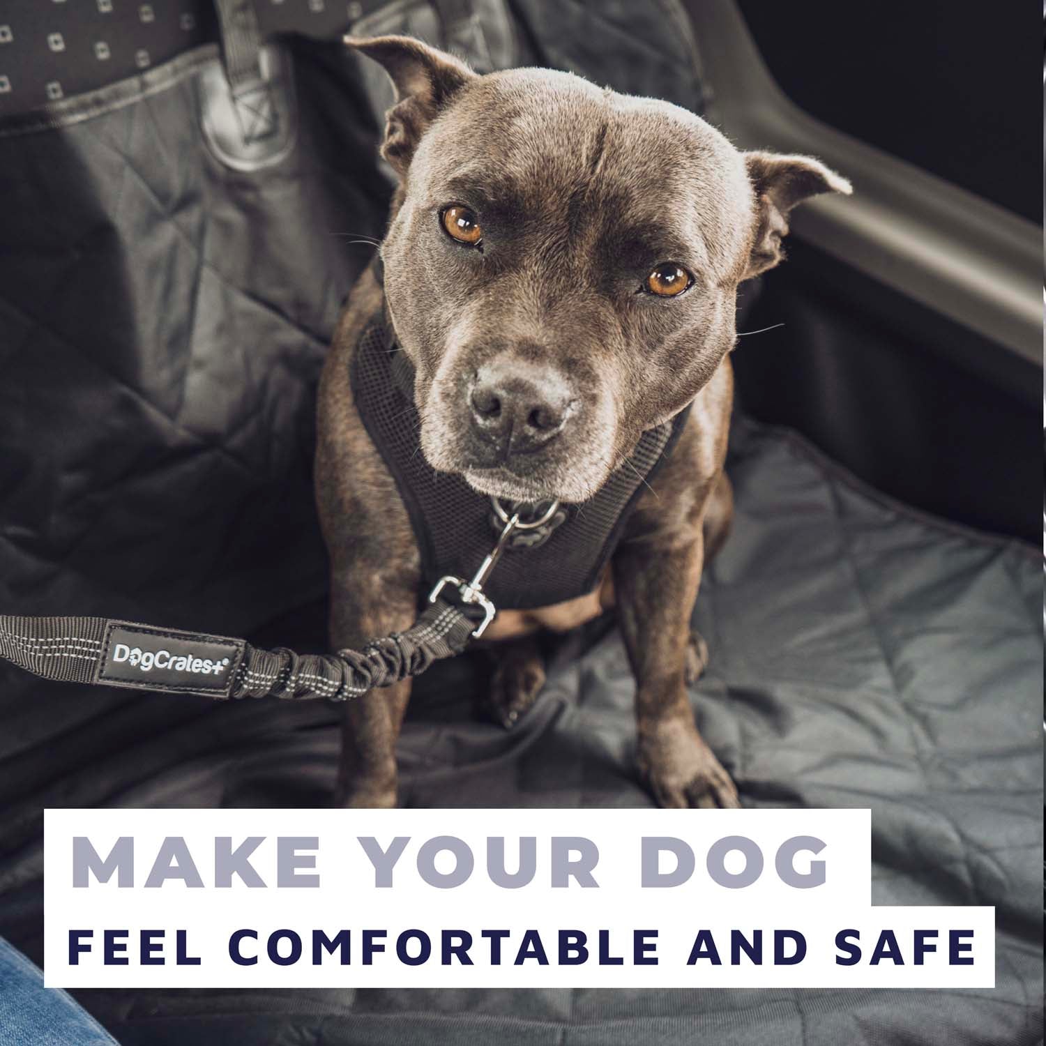 Car Seat Cover/Hammock + Dog Seat Belt Bundle