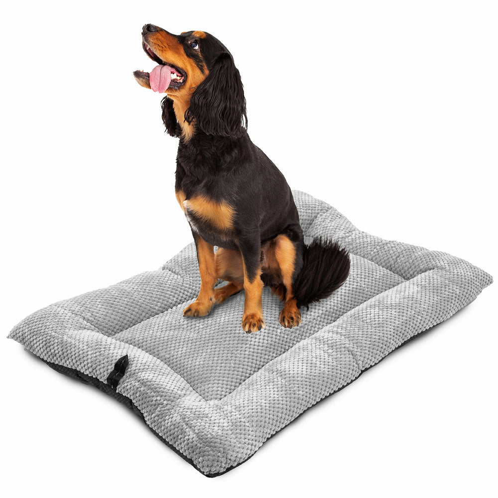 View of Premium Dog Beds for Ultimate Comfort & Restful Sleep – DogCrates+