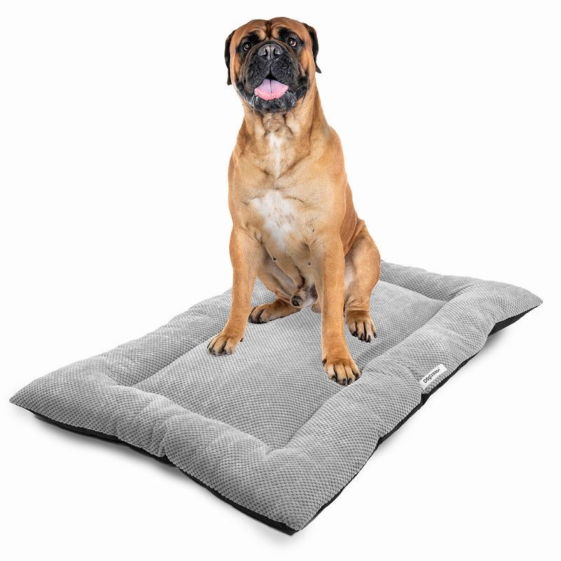 Photo inspiration: Picture Idea: Premium Dog Beds For Ultimate Comfort Restful Sleep