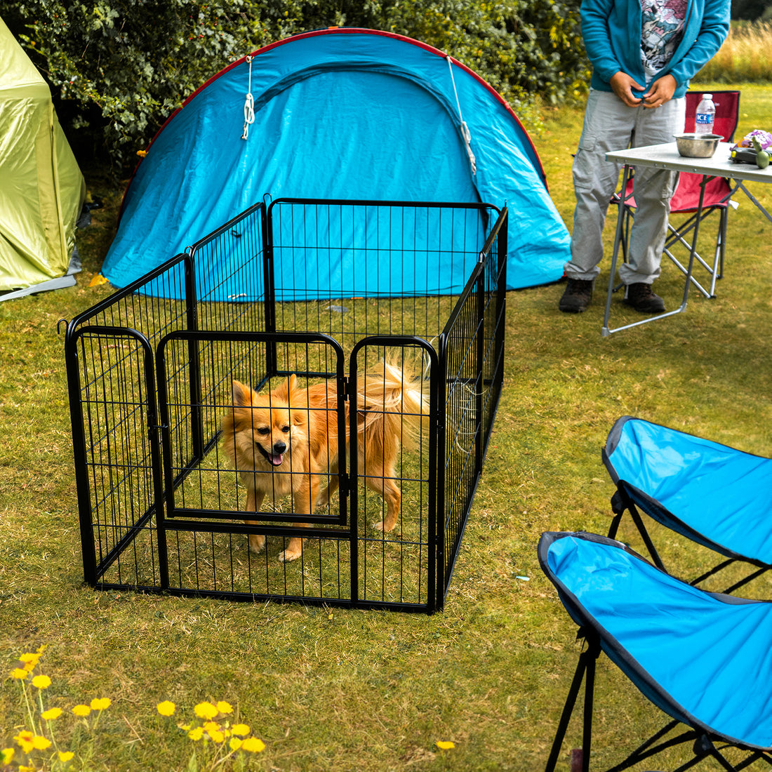 6 Panel Dog Playpen with Door Secure and Versatile Pet Enclosure