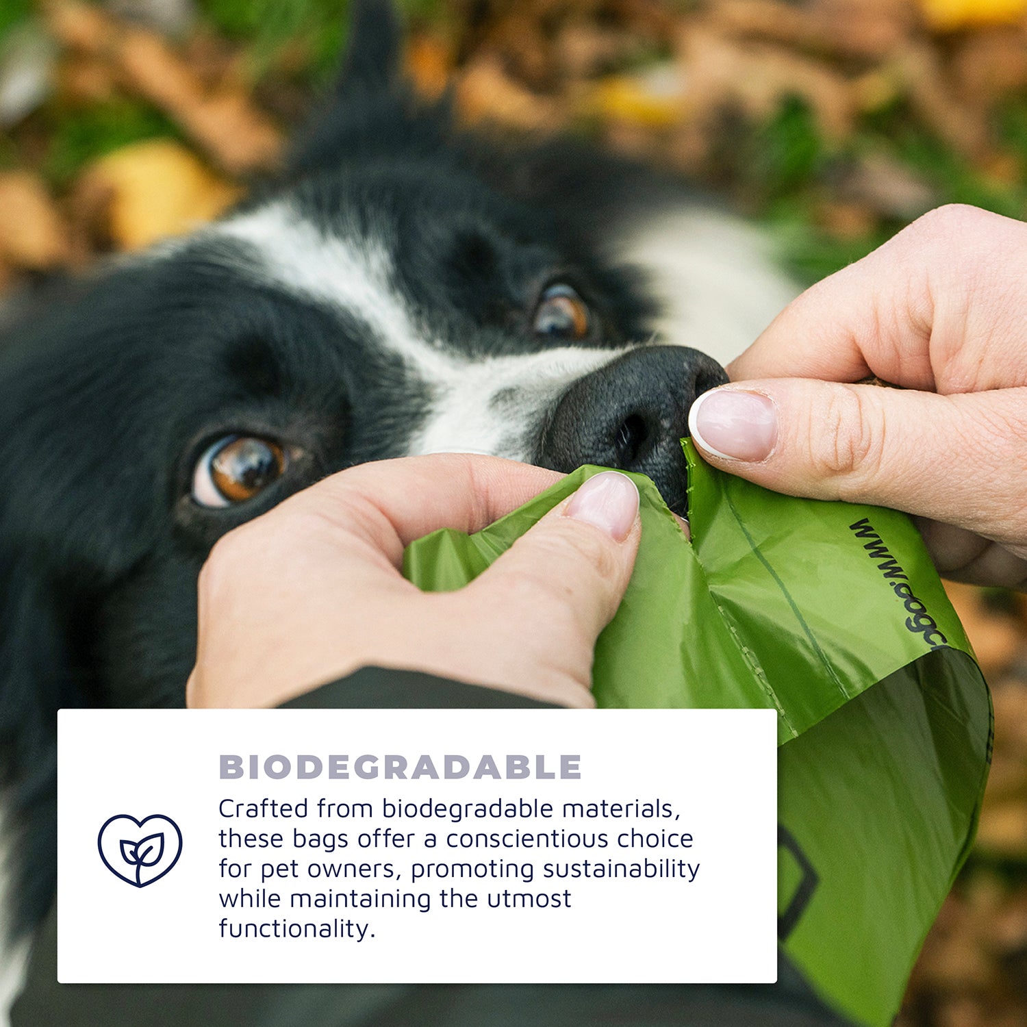 150 Dog Poop Bags – Leak-Proof, Lavender Scent, Tear-Resistant