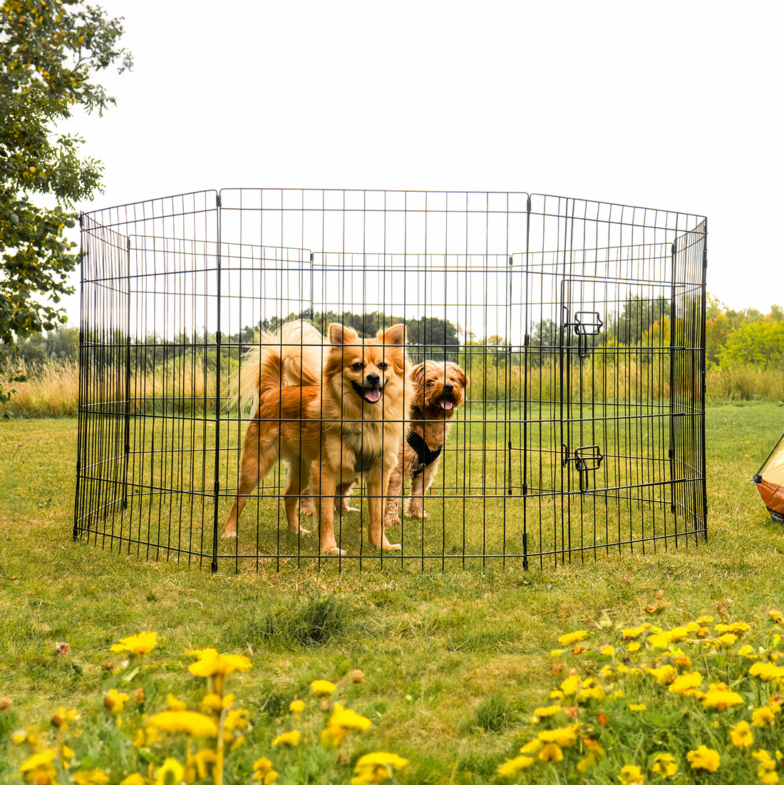 Image showcasing 8 Panel Dog Playpen with Door – Foldable & Outdoor-Ready – DogCrates+